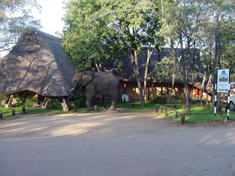 Lokuthula Lodges Вікторія-Фоллс Екстер'єр фото